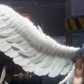Screenshot-(4409).png