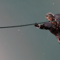 End-Screenshot-2025.02.04---02.45.04.png